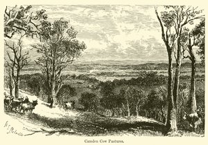 Camden Cow Pastures (betesmarker för kor) av Harden Sidney Melville